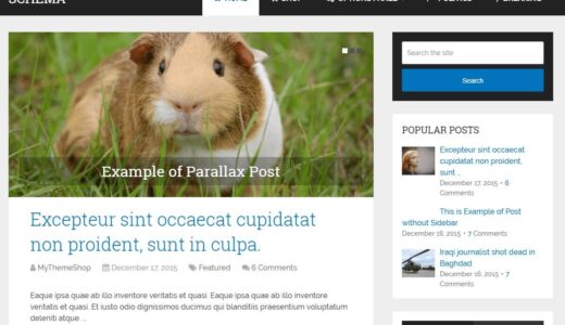 Schema【WordPressテーマ・きままにレビュー・日本語】