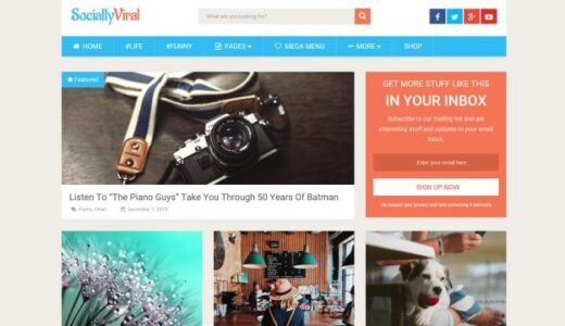 Socially Viral Pro【WPテーマ・きままにレビュー・日本語】